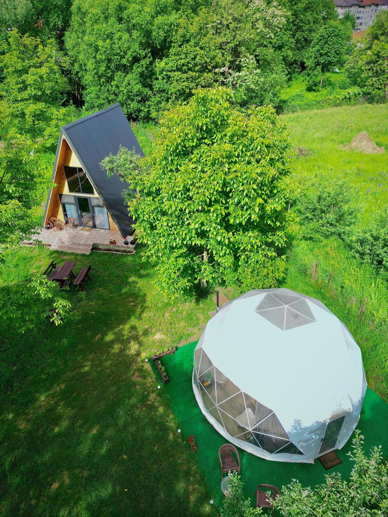 The Frog Glamping Hotel Horezu Bagian luar foto