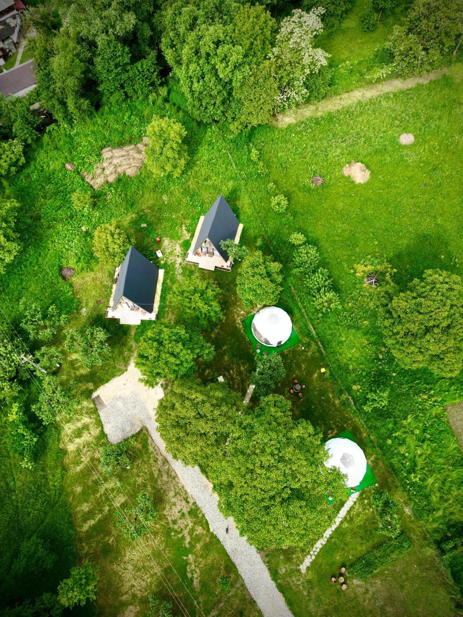 The Frog Glamping Hotel Horezu Bagian luar foto