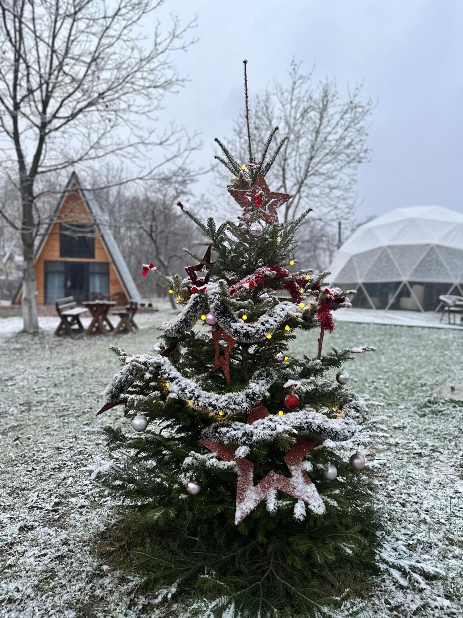 The Frog Glamping Hotel Horezu Bagian luar foto