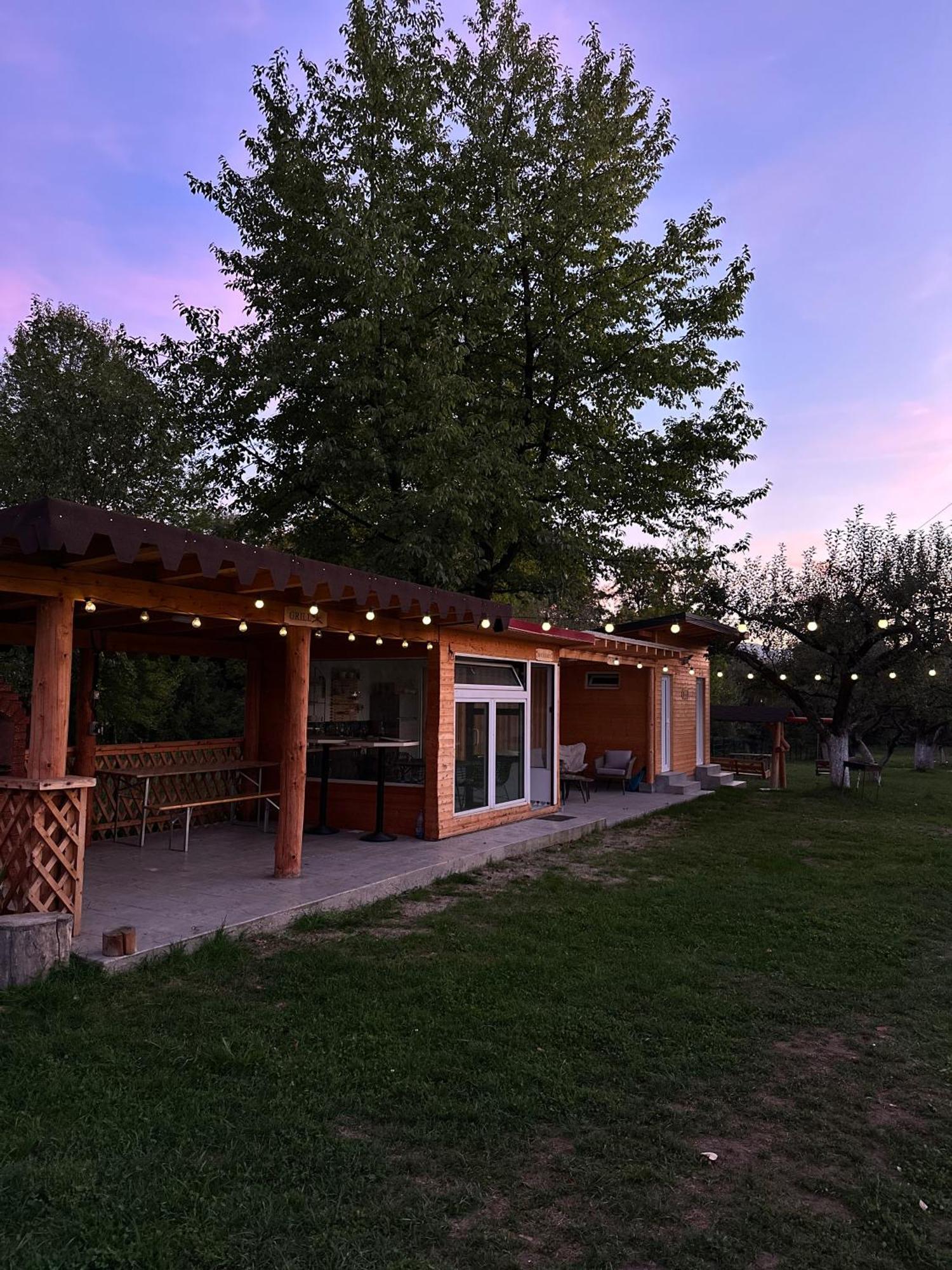 The Frog Glamping Hotel Horezu Bagian luar foto