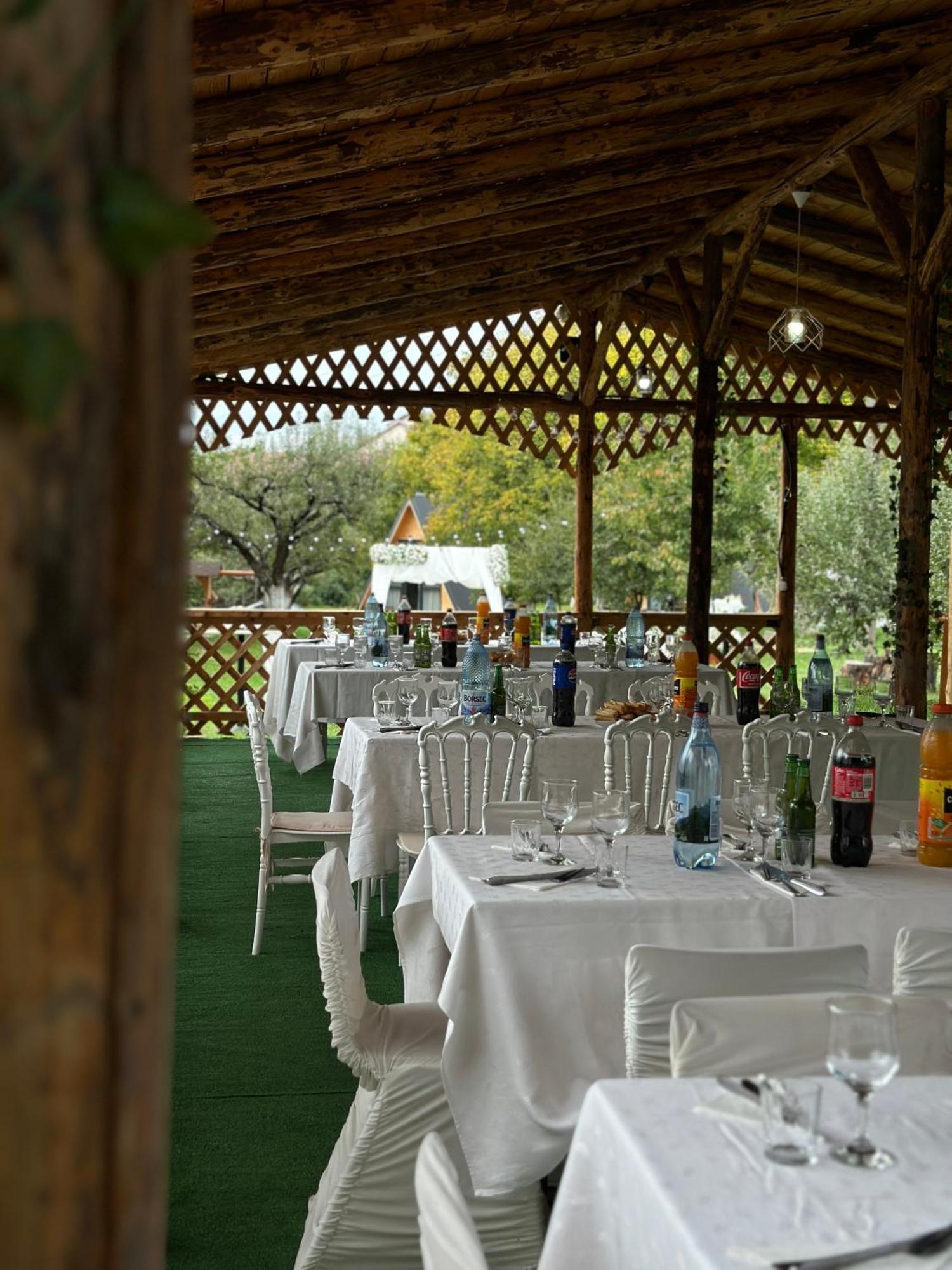 The Frog Glamping Hotel Horezu Bagian luar foto